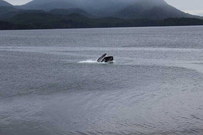 Alaska Native Cultural and Wildlife Adventure - A Closer Look at the Itinerary and What to Expect