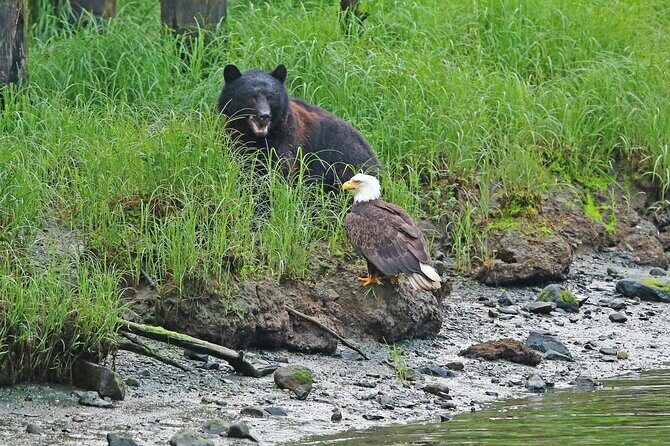 Alaska Native Cultural and Wildlife Adventure - Authenticity and Impact