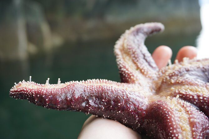 Alaska Ocean Wilderness Expedition - FAQs