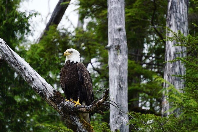 Alaska Ocean Wilderness Expedition - The Bottom Line