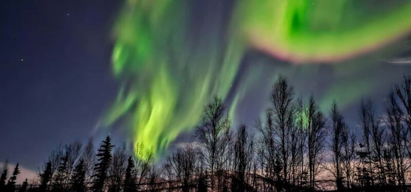 Alaska: Private Northern Lights Viewing Tour - Why This Tour Offers Good Value