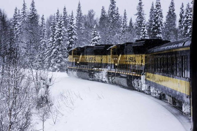 Alaska Railroad Aurora Winter Anchorage to Fairbanks One Way - The Heart of the Journey: What to Expect on This Scenic Ride
