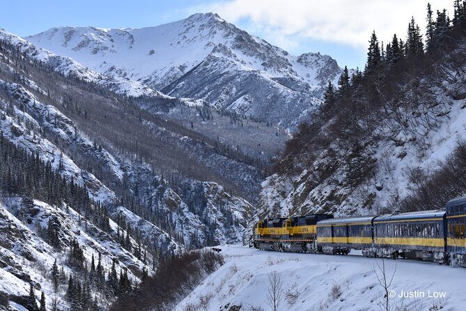 Alaska Railroad Aurora Winter Anchorage to Fairbanks One Way - In Summary: Who Will Love This Trip?