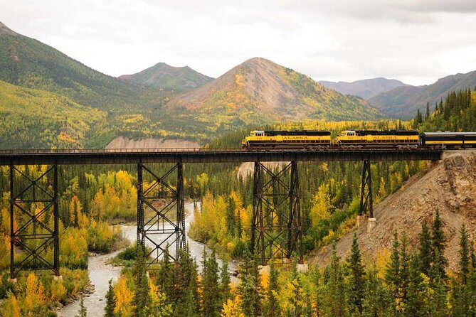 Alaska Railroad Denali to Anchorage One Way - An In-Depth Look at the Journey