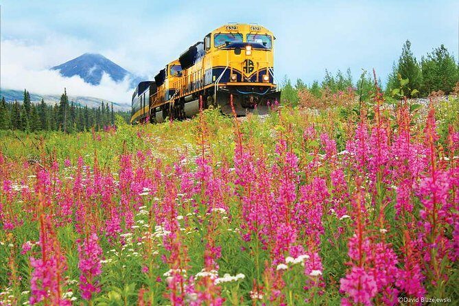 Alaska Railroad Denali to Anchorage One Way - Final Thoughts