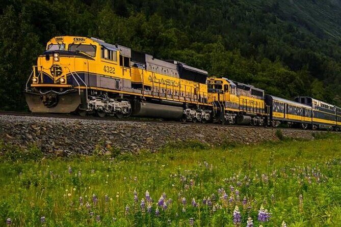 Alaska Railroad Fairbanks to Denali One Way - Key Points