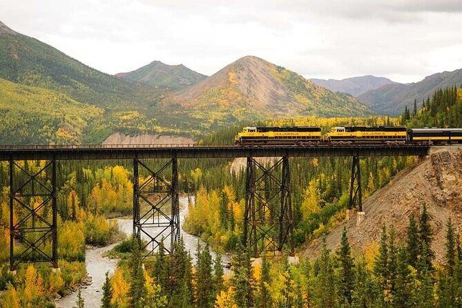 Alaska Railroad Fairbanks to Denali One Way - The Arrival at Denali