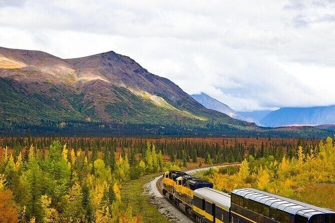 Alaska Railroad Fairbanks to Denali One Way - Authentic Experiences from Fellow Travelers