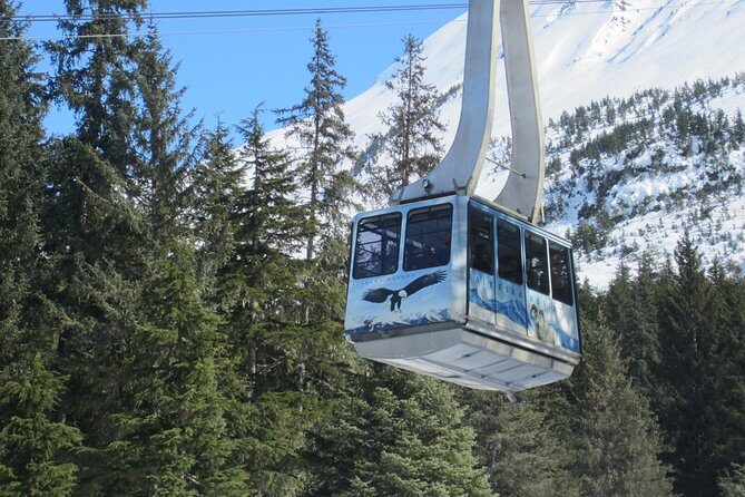 Alaska Wildlife Center and Turnagain Arm Tour w/Alyeska Tram - The Itinerary in Detail