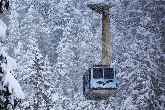 Alaska Wildlife Center and Turnagain Arm Tour w/Alyeska Tram - FAQ