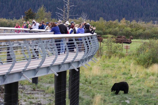 Alaska Wildlife Day Tour with Free Hotel Pickup - Who should book this tour?