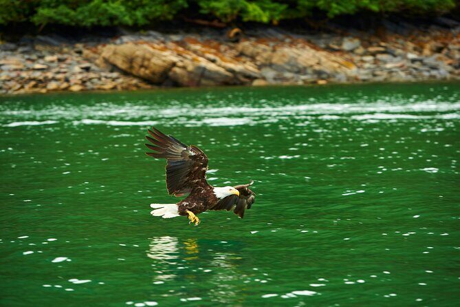 Alaskan Lodge Adventure and Seafeast - FAQ