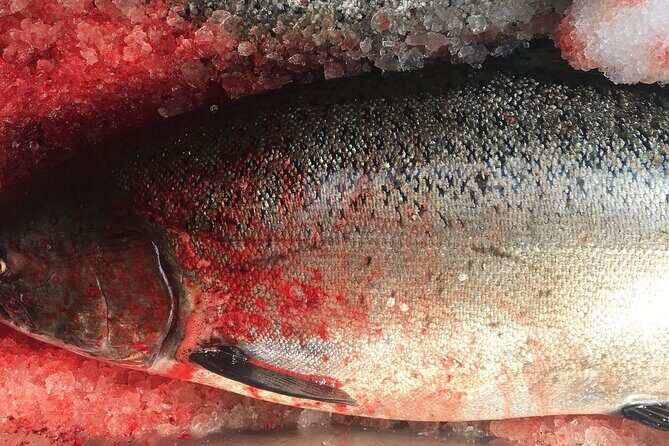 Alaskan Salmon Fishing with optional Adaptive Gear - What Makes This Salmon Fishing Tour Stand Out?