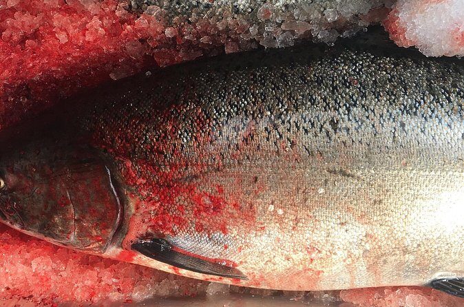 Alaskan Salmon Fishing with optional Adaptive Gear - The Sum Up