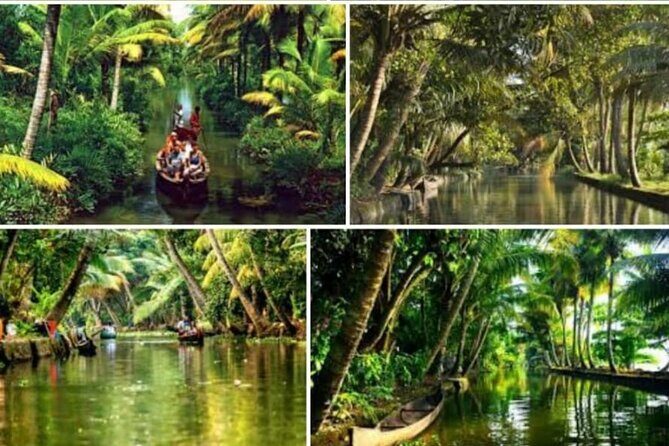 Alasr Lakeview Cruise /Hourly Trips to Backwater of Alleppey - Key Points