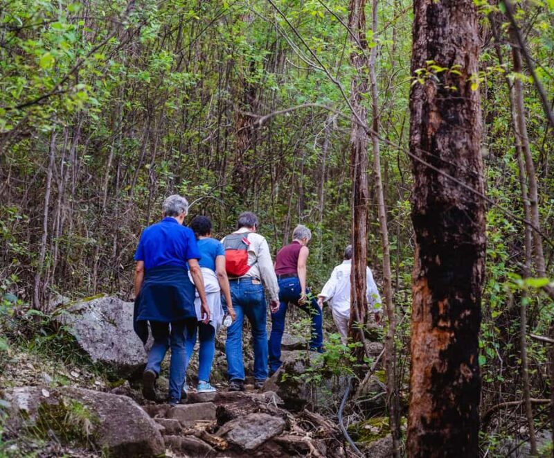 Albany: Guided Granite Skywalk in Porongurup National Park - Key Points