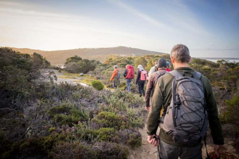 Albany: Lighting the Sound Twilight Hike - Key Points