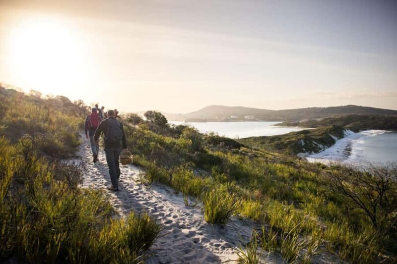 Albany: Lighting the Sound Twilight Hike - Practical Details and Considerations