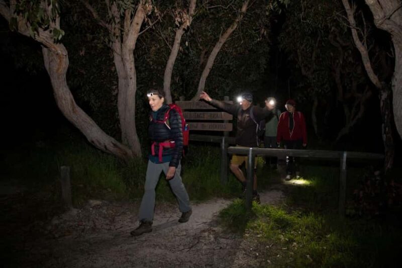 Albany: Lighting the Sound Twilight Hike - The Experience on the Ground