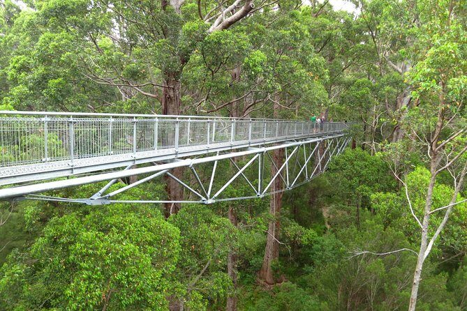 Albany Southwest Wilderness Day Tour - Fly From Perth - Key Points