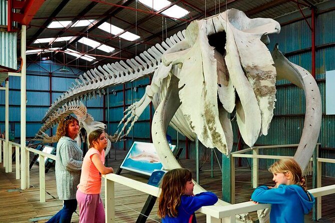 Albany's Historic Whaling Station Admission Ticket - A Closer Look at the Itinerary