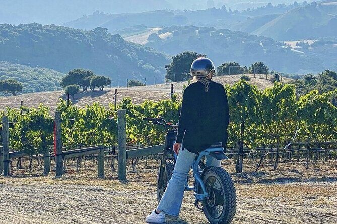 Albatross Ridge Vineyards Electric Bike Tour & Wine Tasting - Exploring the Albatross Ridge Vineyards Electric Bike Tour & Wine Tasting