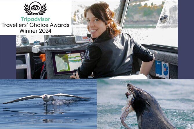 Albatross, seals, and sea birds-Wildlife Cruise - A View Into the Experience