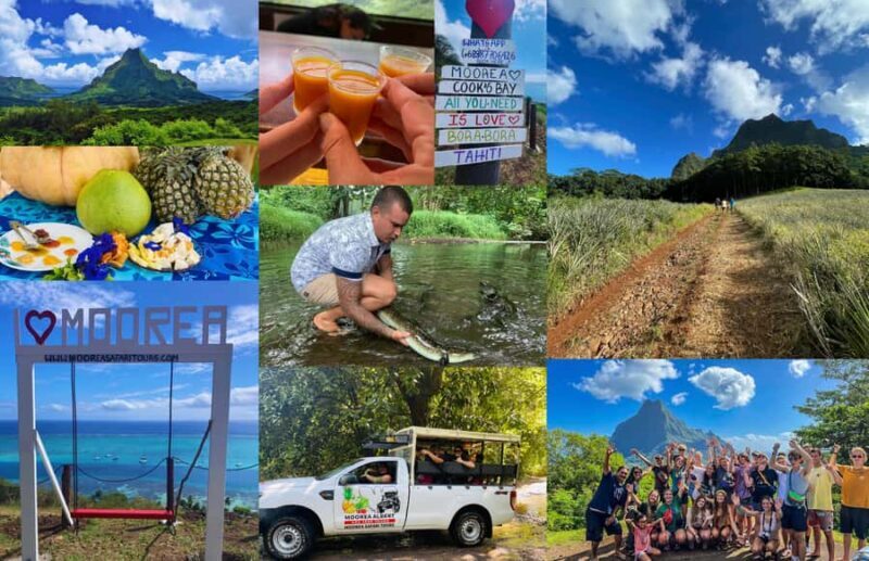 Albert Tours Excursion Safari - Moorea Safari tours&pick up - Exploring Moorea with the Albert Tours Excursion Safari