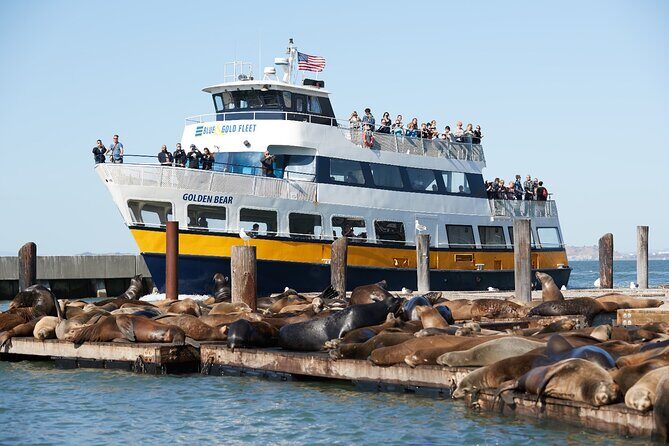 Alcatraz Day Tour and San Francisco Bay Cruise - The Sum Up