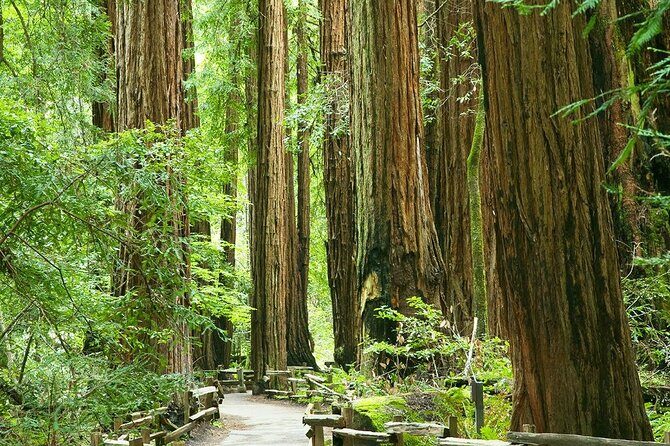 Alcatraz Muir Woods and Sausalito Express with Brunch Credit - Transportation & Group Size