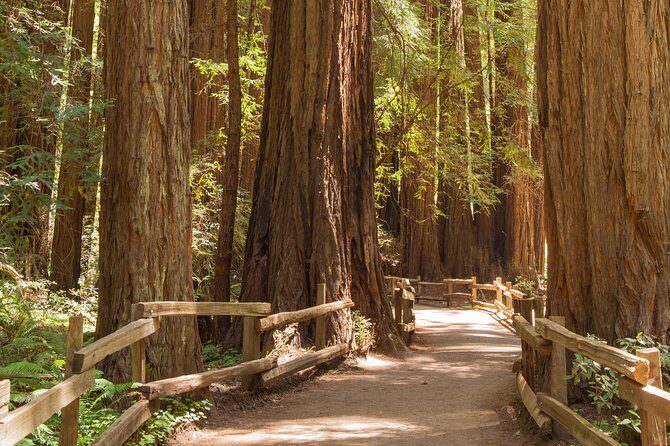 Alcatraz with Muir Woods and Sausalito Tour - A Closer Look at the Itinerary