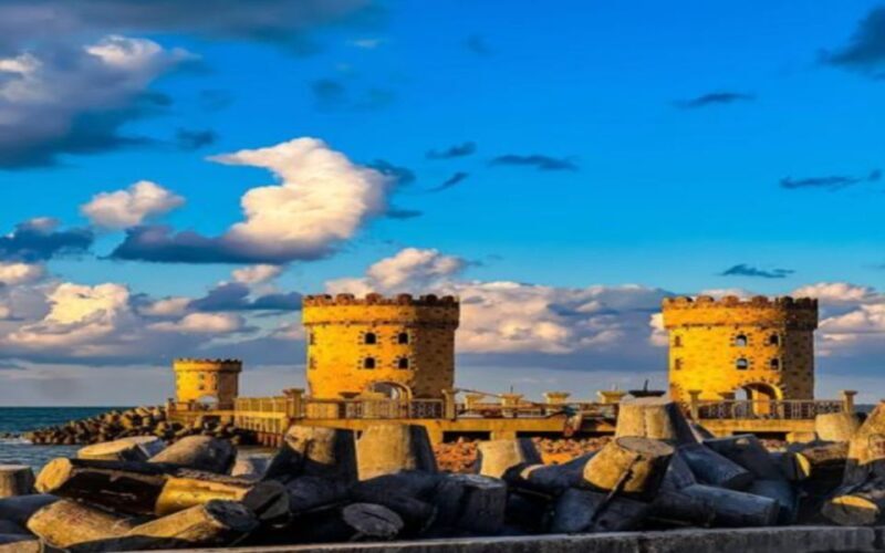 Alexandria: Guided City Walking Tour - Walking Through Mansheya’s Oldest Market Area