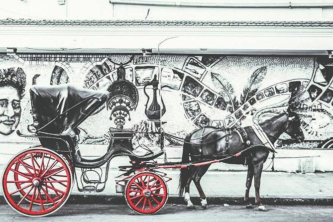 Alexandria Horse Carriage Tour - A Closer Look at the Alexandria Horse Carriage Experience