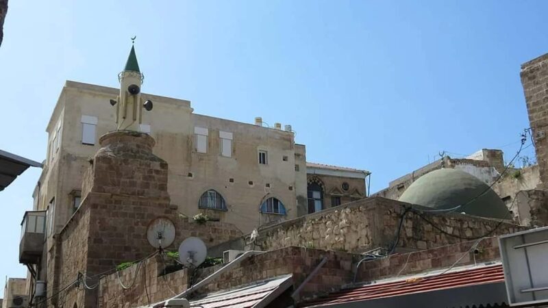 Alexandria : Rosetta Day Tour from Alexandria - Practical Tips for Making the Most of Your Day