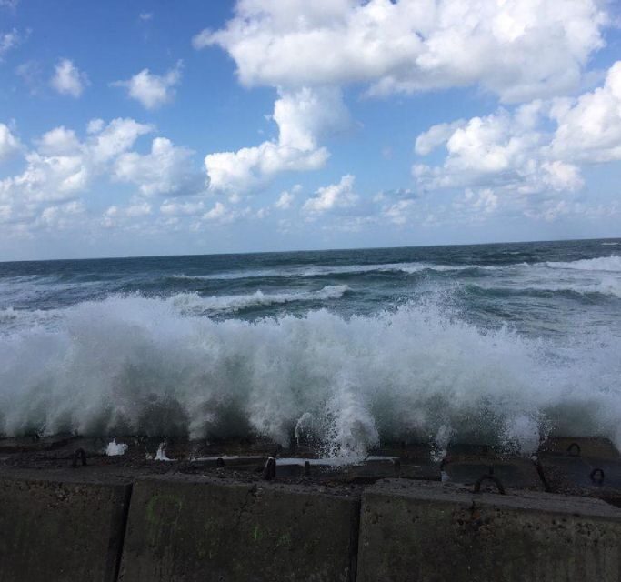 Alexandria : Rosetta Day Tour from Alexandria - FAQ