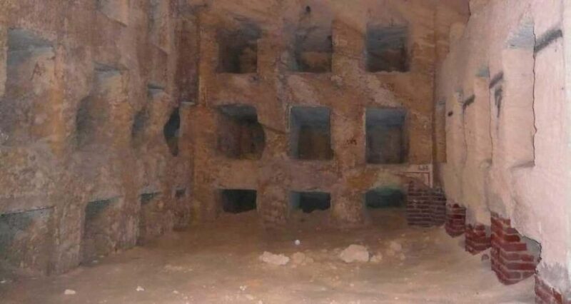 Alexandria the Mediterranean history from Cairo by Car - Who Should Consider This Tour?