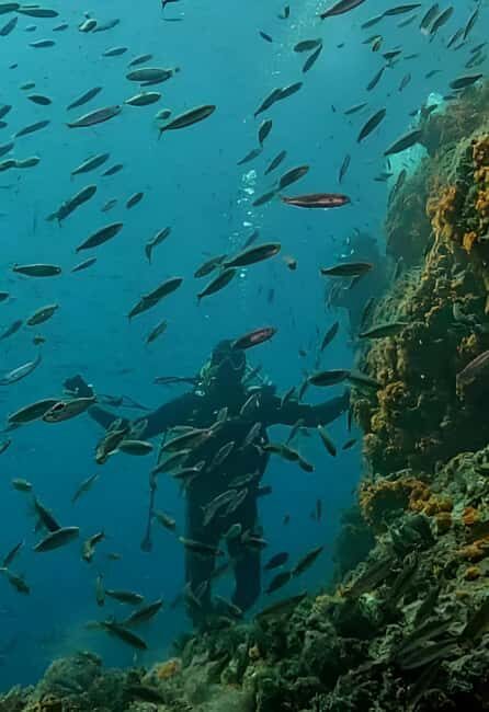 Algeria Daytour : Snorkeling & Horse Riding with lunch - Key Points