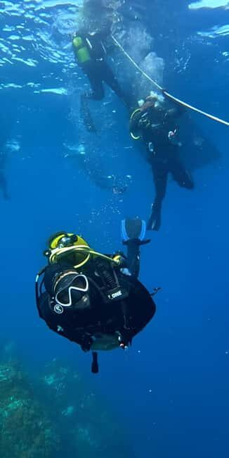 Algeria Daytour : Snorkeling & Horse Riding with lunch - Who Should Consider This Tour?