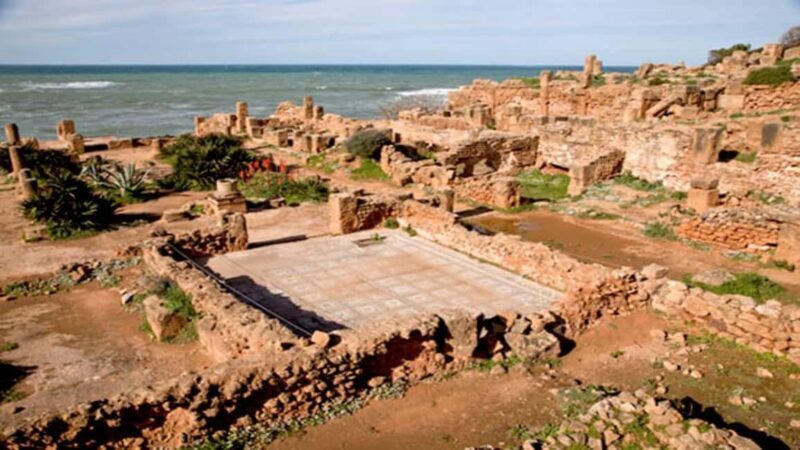 Algiers: Cherchell, Tipasa, & Royal Mausoleum Day Trip - An Overview of What Youll Experience