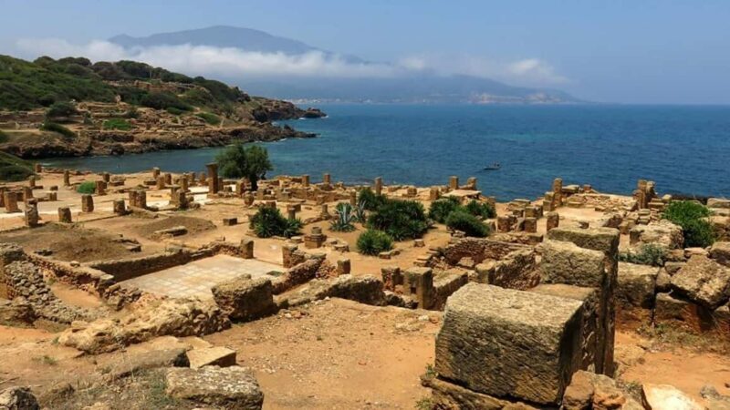 Algiers: Cherchell, Tipasa, & Royal Mausoleum Day Trip - Why This Tour Stands Out