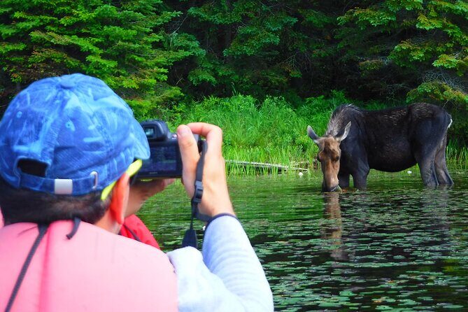 Algonquin Park 3-Day Deluxe Camping & Canoeing Adventure - An In-Depth Look at the Experience