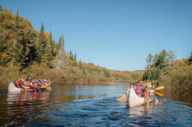 Algonquin Park and Ragged Falls Hike and Canoe Adventure - Key Points