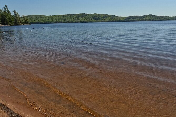 Algonquin Provincial Park Full Day Trip - What’s Included and What’s Not