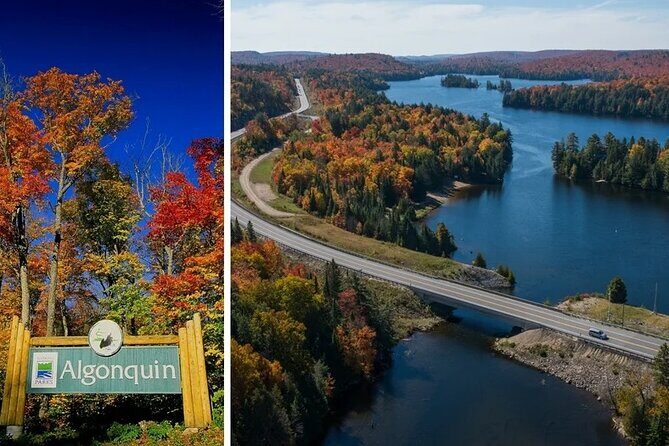 Algonquin Shuttle from Toronto - The Itinerary: What to Expect