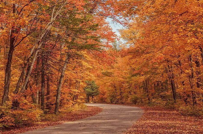 Algonquin Shuttle from Toronto - Frequently Asked Questions