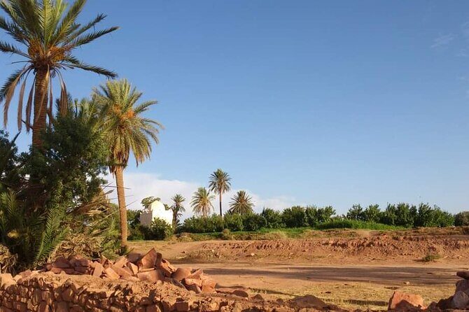 Ali Baba Oasis And The Old Medina Of Taroudant Private Day Tour - FAQ