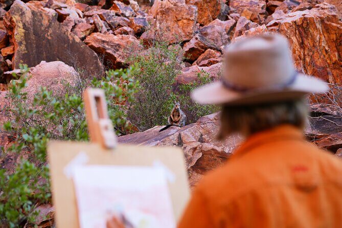 Alice Springs Airport to West MacDonnell Half-Day Tour - Analyzing the Cost and Value