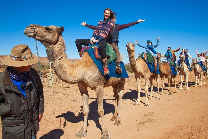 Alice Springs Camel Tour - Final Thoughts