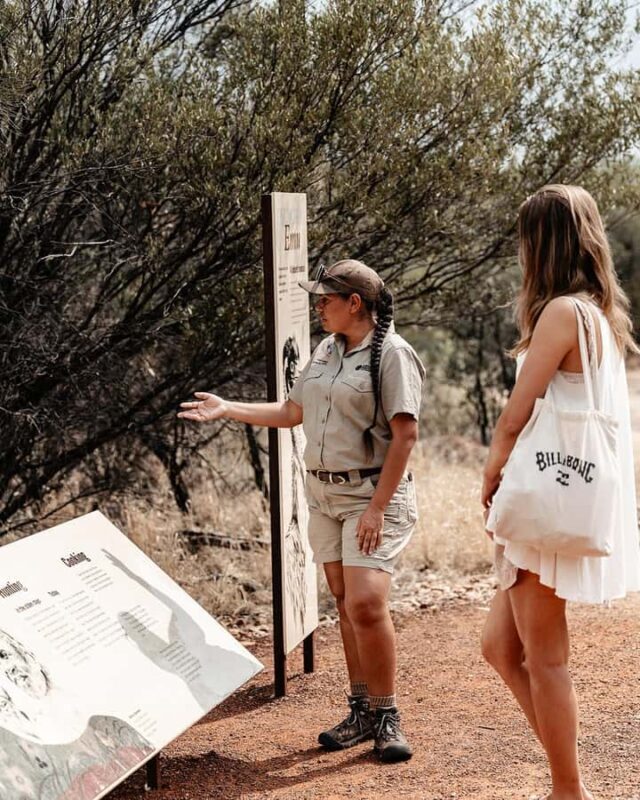 Alice Springs: Desert Park Entry Ticket - Discovering the Heart of the Outback: Alice Springs Desert Park Entry Ticket