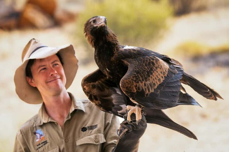 Alice Springs: Desert Park Entry Ticket - Who Should Consider Visiting?